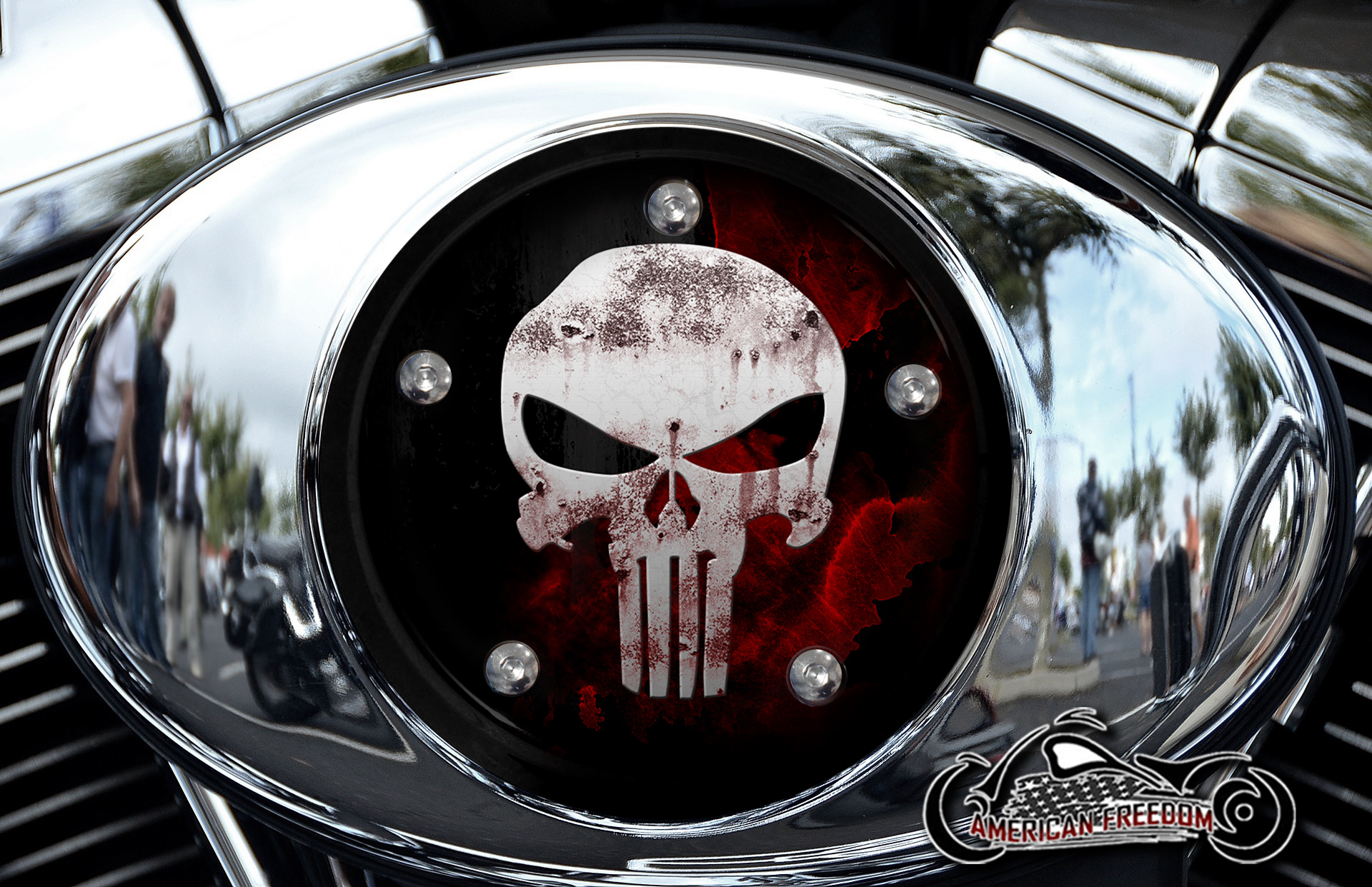 Custom Air Cleaner Cover - Weathered Punisher
